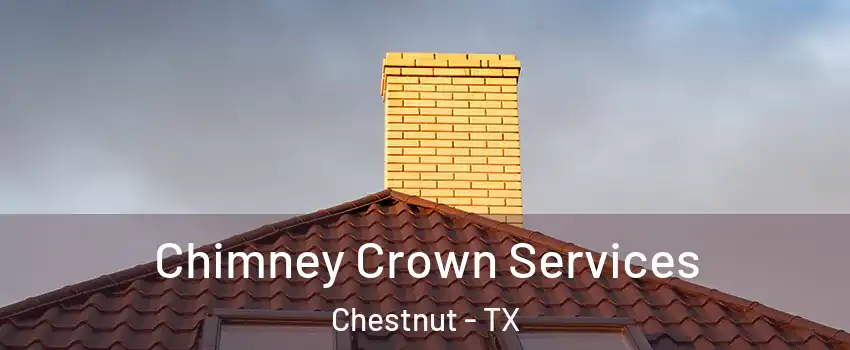 Chimney Crown Services Chestnut - TX