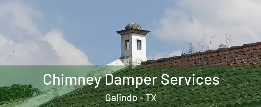 Chimney Damper Services Galindo - TX