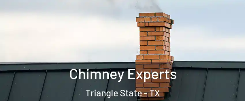 Chimney Experts Triangle State - TX