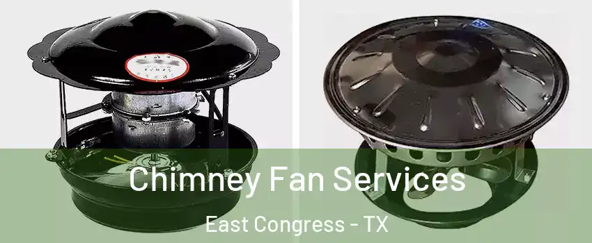 Chimney Fan Services East Congress - TX