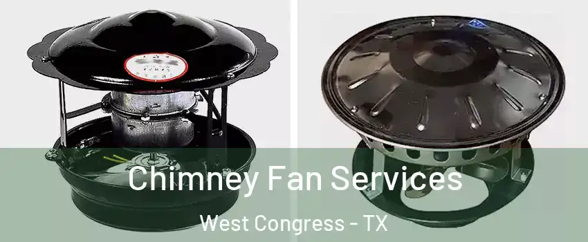 Chimney Fan Services West Congress - TX