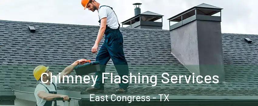 Chimney Flashing Services East Congress - TX