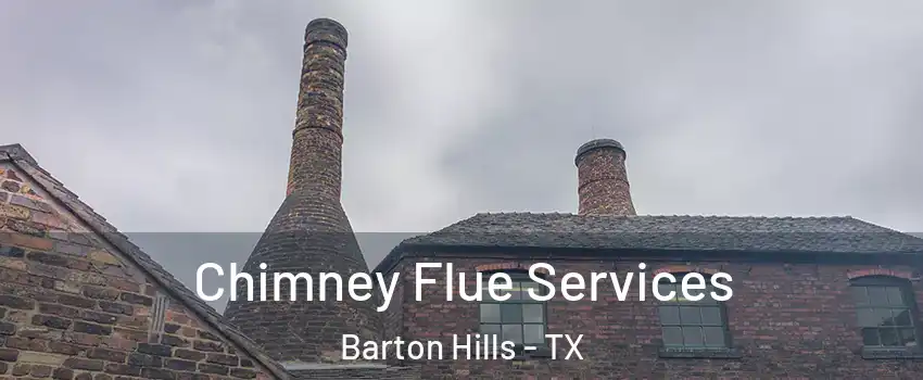 Chimney Flue Services Barton Hills - TX