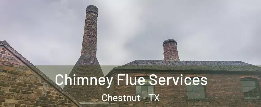 Chimney Flue Services Chestnut - TX