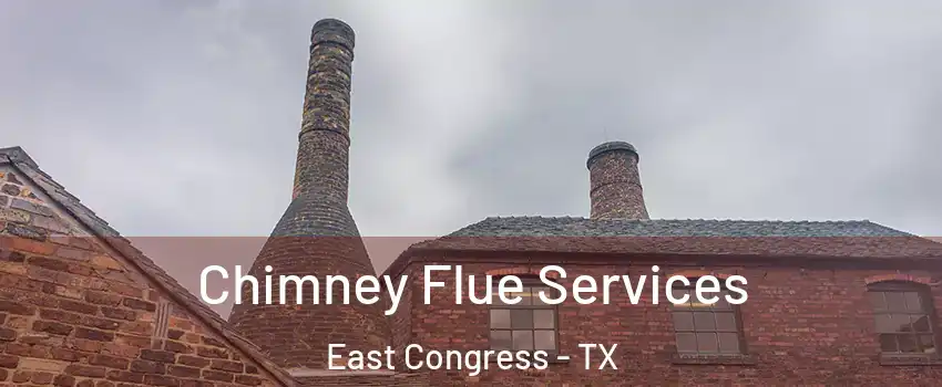 Chimney Flue Services East Congress - TX