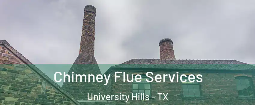 Chimney Flue Services University Hills - TX