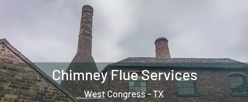 Chimney Flue Services West Congress - TX