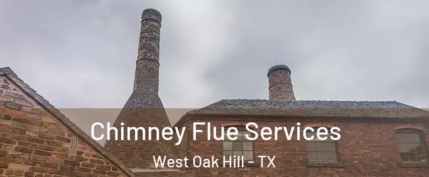 Chimney Flue Services West Oak Hill - TX