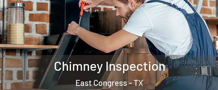 Chimney Inspection East Congress - TX