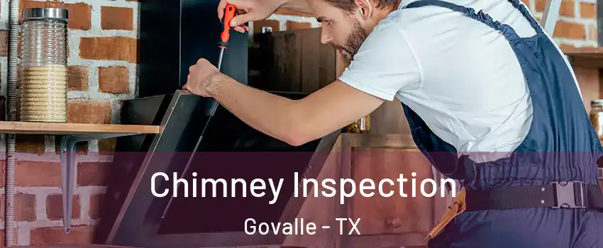 Chimney Inspection Govalle - TX