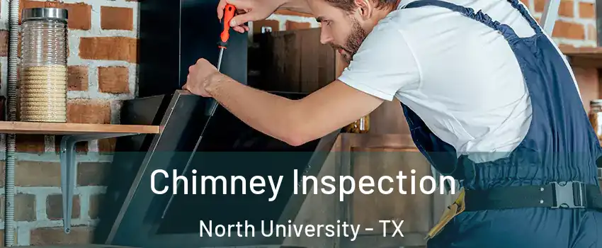 Chimney Inspection North University - TX