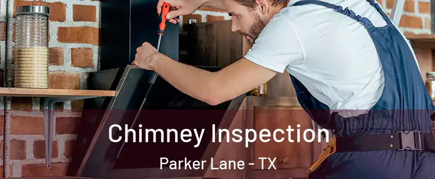 Chimney Inspection Parker Lane - TX