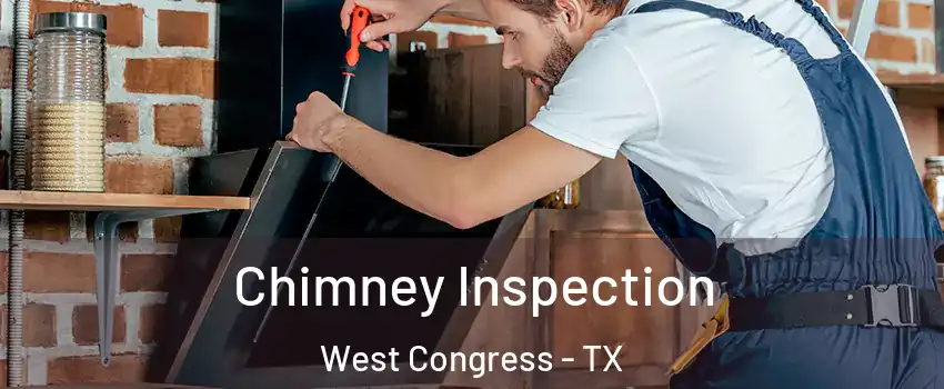 Chimney Inspection West Congress - TX