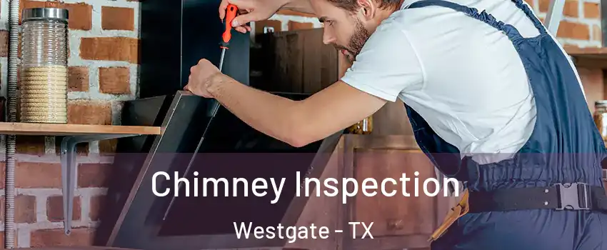 Chimney Inspection Westgate - TX