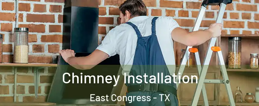 Chimney Installation East Congress - TX