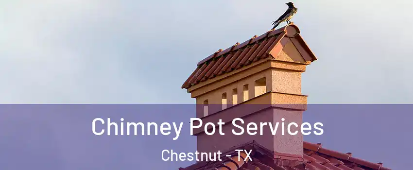 Chimney Pot Services Chestnut - TX