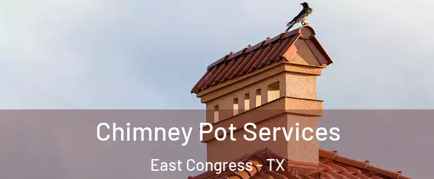 Chimney Pot Services East Congress - TX