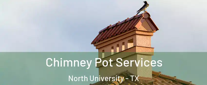 Chimney Pot Services North University - TX