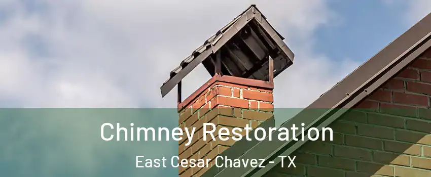 Chimney Restoration East Cesar Chavez - TX