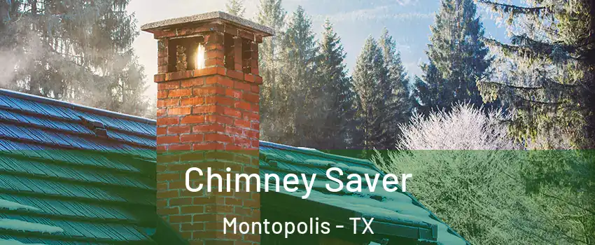 Chimney Saver Montopolis - TX