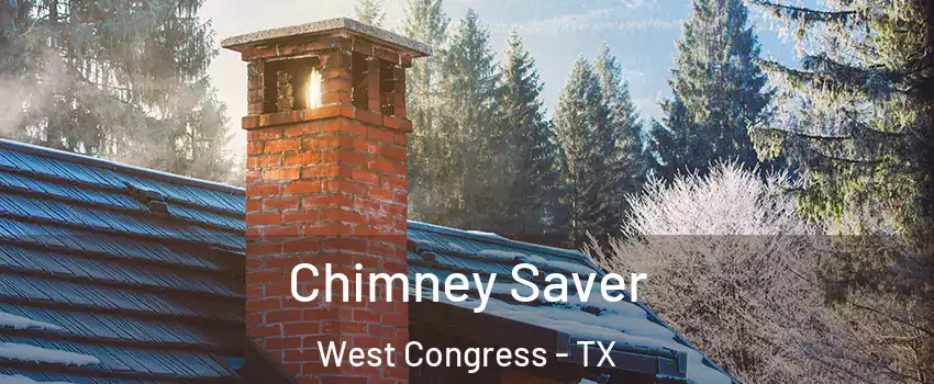 Chimney Saver West Congress - TX