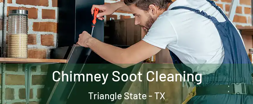 Chimney Soot Cleaning Triangle State - TX