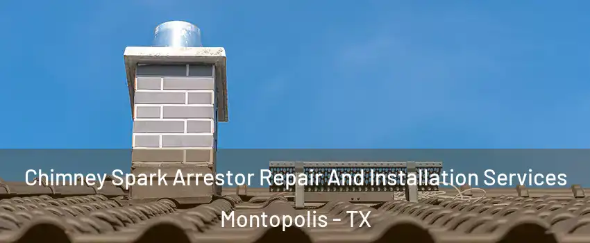 Chimney Spark Arrestor Repair And Installation Services Montopolis - TX