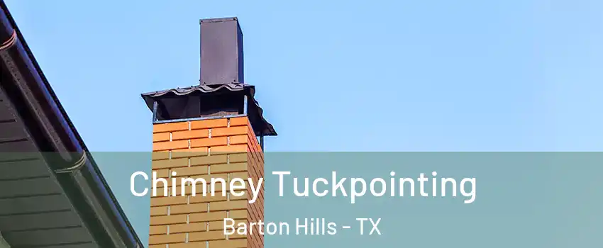 Chimney Tuckpointing Barton Hills - TX