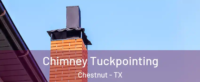 Chimney Tuckpointing Chestnut - TX