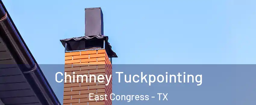 Chimney Tuckpointing East Congress - TX