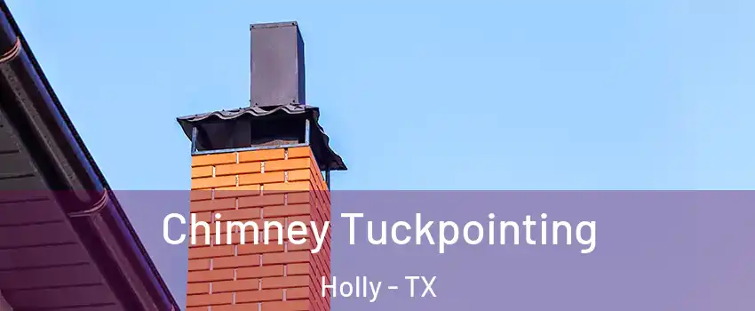 Chimney Tuckpointing Holly - TX