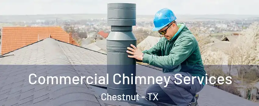 Commercial Chimney Services Chestnut - TX