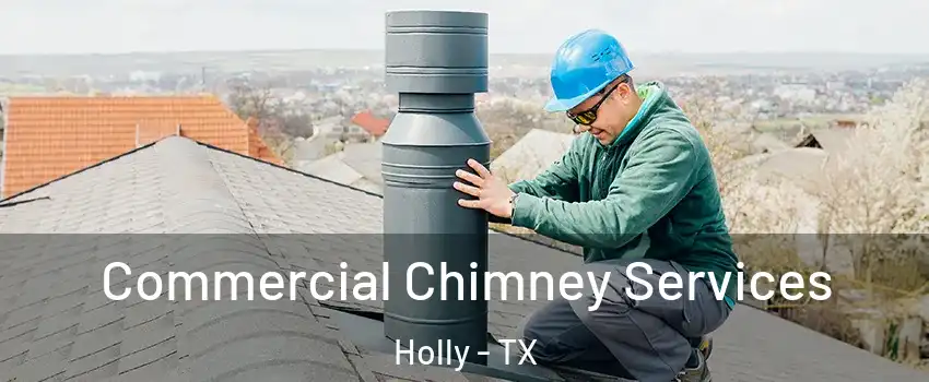 Commercial Chimney Services Holly - TX