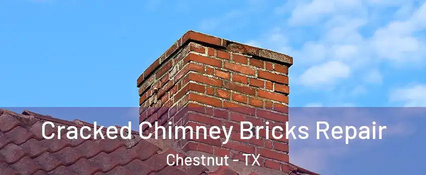 Cracked Chimney Bricks Repair Chestnut - TX