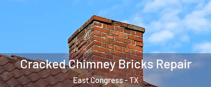 Cracked Chimney Bricks Repair East Congress - TX