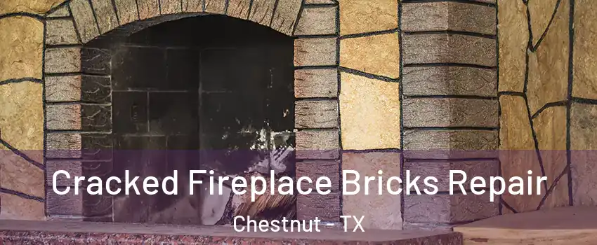 Cracked Fireplace Bricks Repair Chestnut - TX