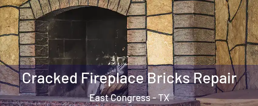 Cracked Fireplace Bricks Repair East Congress - TX