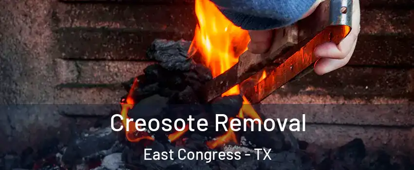 Creosote Removal East Congress - TX