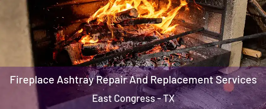 Fireplace Ashtray Repair And Replacement Services East Congress - TX