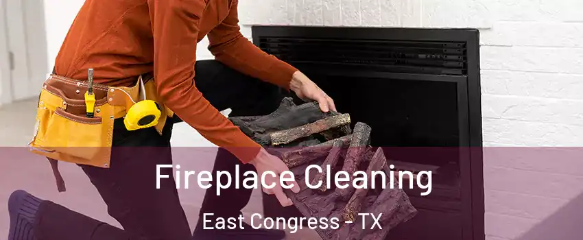 Fireplace Cleaning East Congress - TX