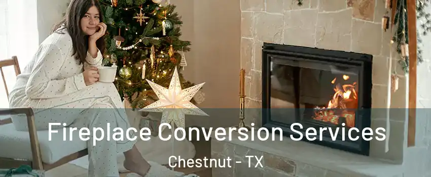 Fireplace Conversion Services Chestnut - TX