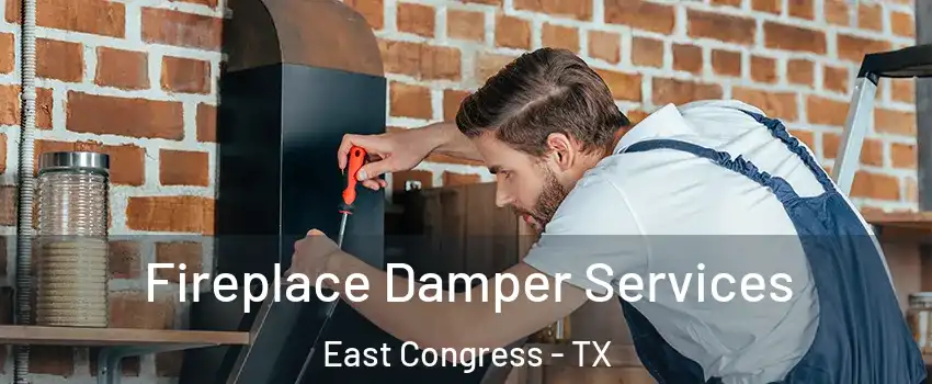 Fireplace Damper Services East Congress - TX