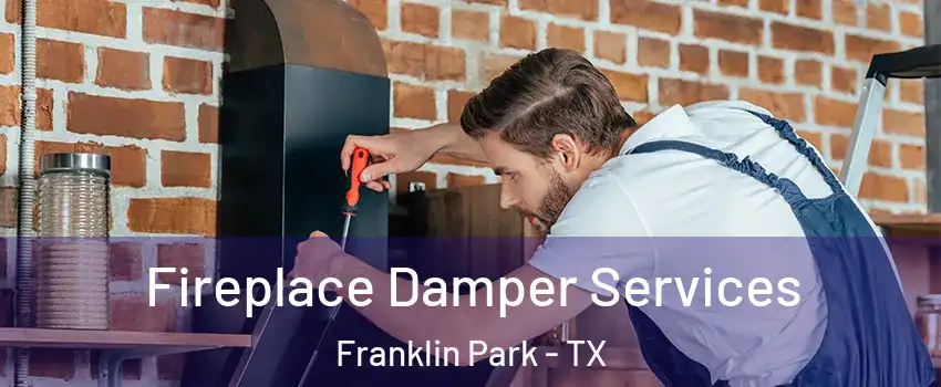 Fireplace Damper Services Franklin Park - TX