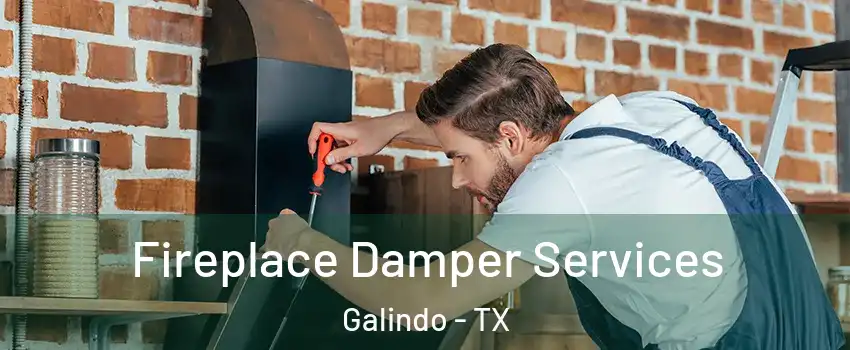 Fireplace Damper Services Galindo - TX