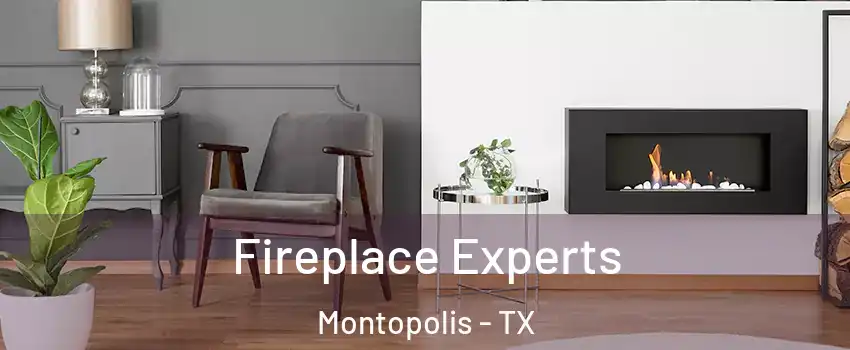 Fireplace Experts Montopolis - TX