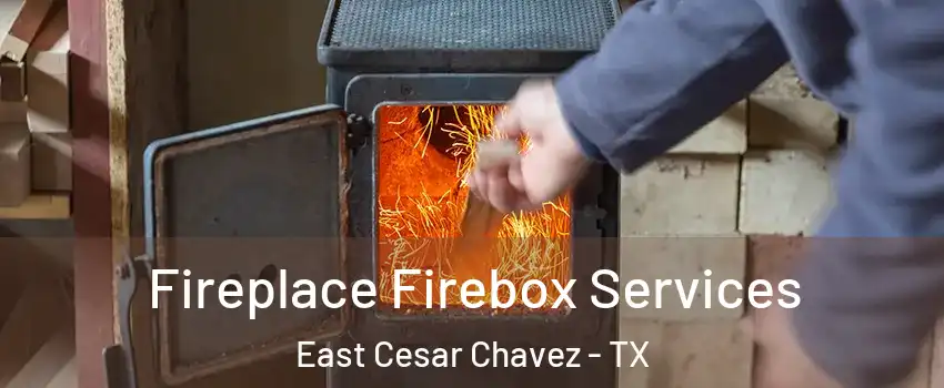 Fireplace Firebox Services East Cesar Chavez - TX