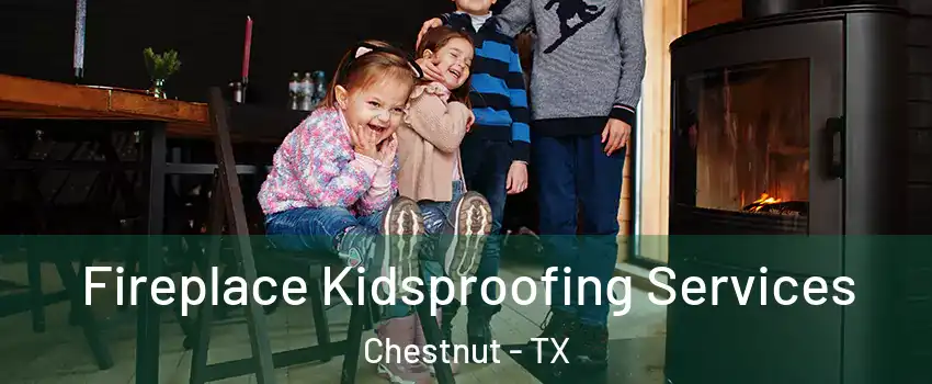 Fireplace Kidsproofing Services Chestnut - TX