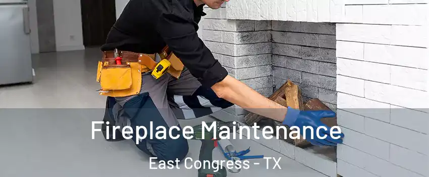 Fireplace Maintenance East Congress - TX