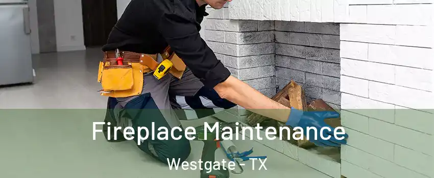 Fireplace Maintenance Westgate - TX