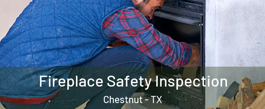 Fireplace Safety Inspection Chestnut - TX